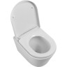Унитаз подвесной безободковый BELBAGNO FLAY-TOR BB053CH-TOR-FC/BB865SC